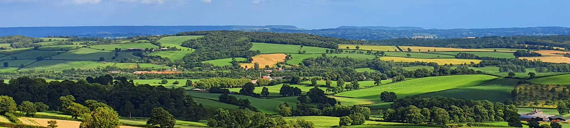 Bradninch Town Council
